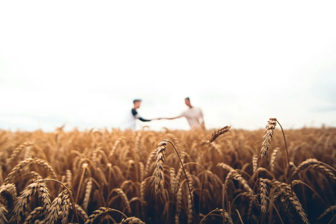 Kézfogás egy mezőn — partnerség